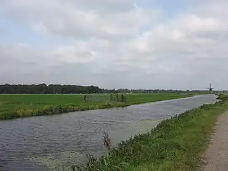 Zuidwijkse polder met links het bosgebied van Huis Zuidwijk en rechts de molen
