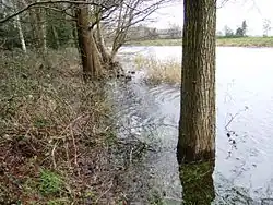 Door een noordwesterstorm opgestuwd water in de Jonkersloot