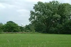 de Waterbollen gezien vanuit de Genneper Parken