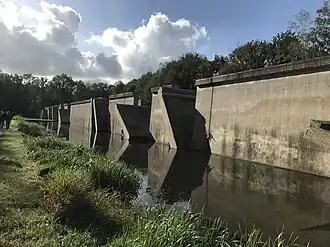 Deltagoot (okt 2021)