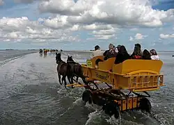 Waddenwagen, aangepaste koets, tussen Cuxhaven  en Neuwerk