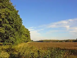 Het Westersche Veld in 2009