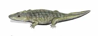 Wetlugasaurus