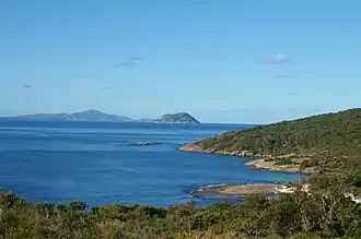 Whalers-strand uitkijkend op Michaelmas-eiland vanop Vancouver-schiereiland