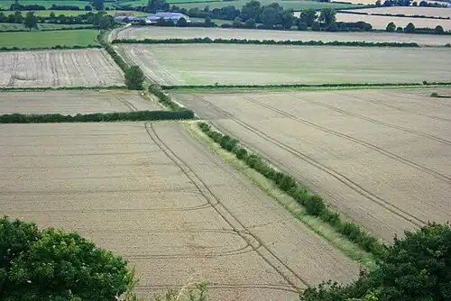 Luchtzicht op graanveld