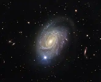NGC 4981