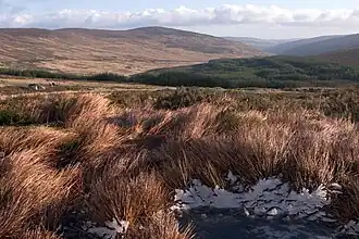 Landschap in de Wicklow Mountains
