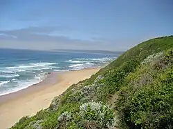 Het strand van Wildernis
