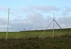 Schapengaas voor wild