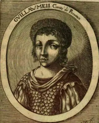 Willem II van Provence