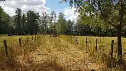 De Lambertusbron in de weide