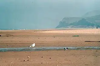 De Cap Blanc-Nez gezien vanaf het strand van Wissant