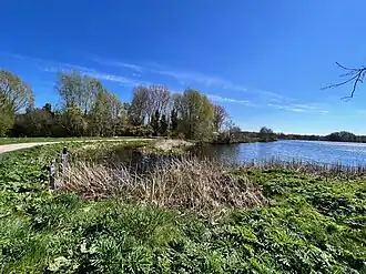 Noordzijde Wolddeelen (2022)