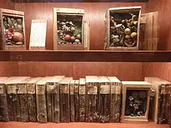 Xylotheek van Carl Schildbach, 4e kwart 18e eeuw, in het Ottoneum te Kassel (Duitsland)