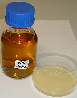 Kweekmedium voor schimmel.