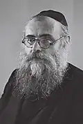 Itzhak-Meir Levin