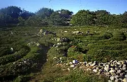 Trojaburchten op Zajatski eiland, Solovetski archipel, Rusland