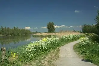 De Zederikkade bij natuurgebied 'De Zouweboezem' van het Zuid-Hollands Landschap
