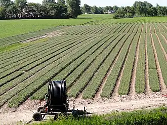 Zicht op Nieuwebildtzijl