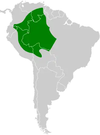 Slankpootvliegenpikker