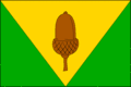 Vlag