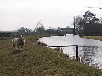 Weipoortse Vliet bij de Lagerbergbrug