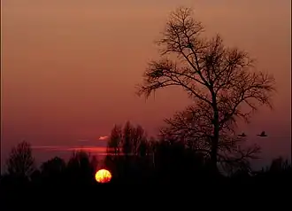 Zonsondergang in Noord-Brabant (winter)