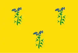 Vlag van Zuiddorpe