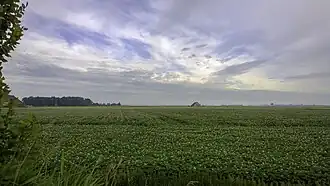 Gezicht over de Zuider Reitdiepspolder vanaf de weg naar Electra met op de achtergrond boerderij Ruigewind en linksachter de beide Teenstraheerden van Ruigezand