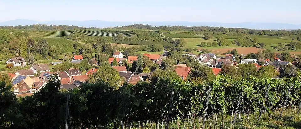 Gezicht vanaf de wijnbouwhellingen op het dorp Zunzingen
