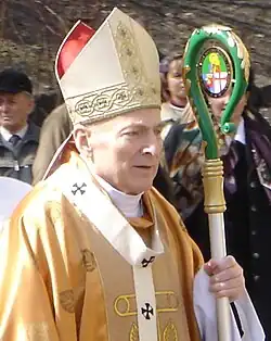 Een metropoliet draagt een pallium over het kazuifel als hij in zijn eigen kerkprovincie is. Daarbuiten draagt hij het pallium niet. Verblijft de paus in de kerkprovincie, dan wordt het pallium ook niet gedragen.